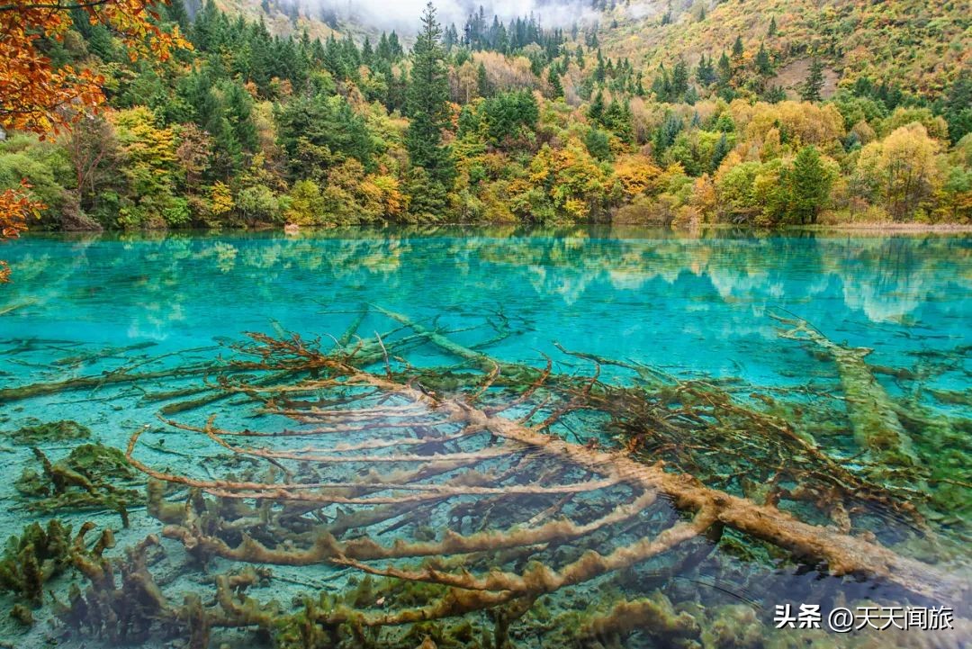 九寨归来不看水四川行,九寨归来不看水峨眉归来不看山
