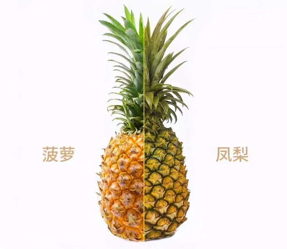 好吃到爆的黑暗料理让你一看就会,有哪些黑暗料理的做法好吃