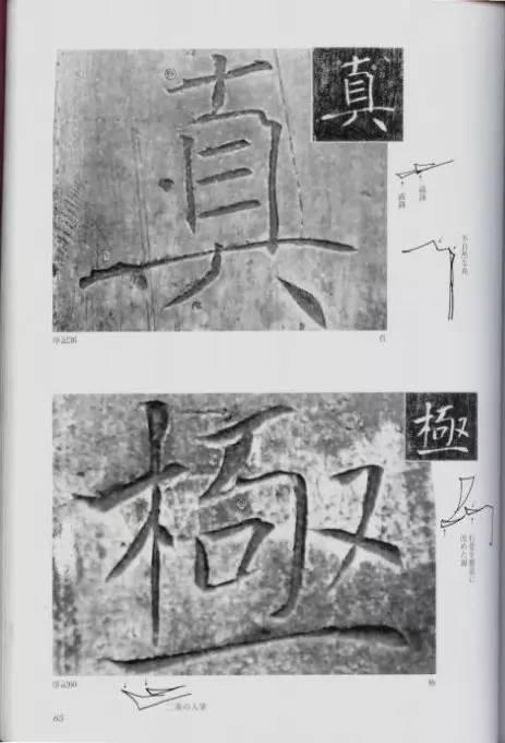 宸ョ瑪鐢绘潹鏅箟鐢诲唽,鏉滈箖鏉ㄦ櫘涔夊畬鏁寸増