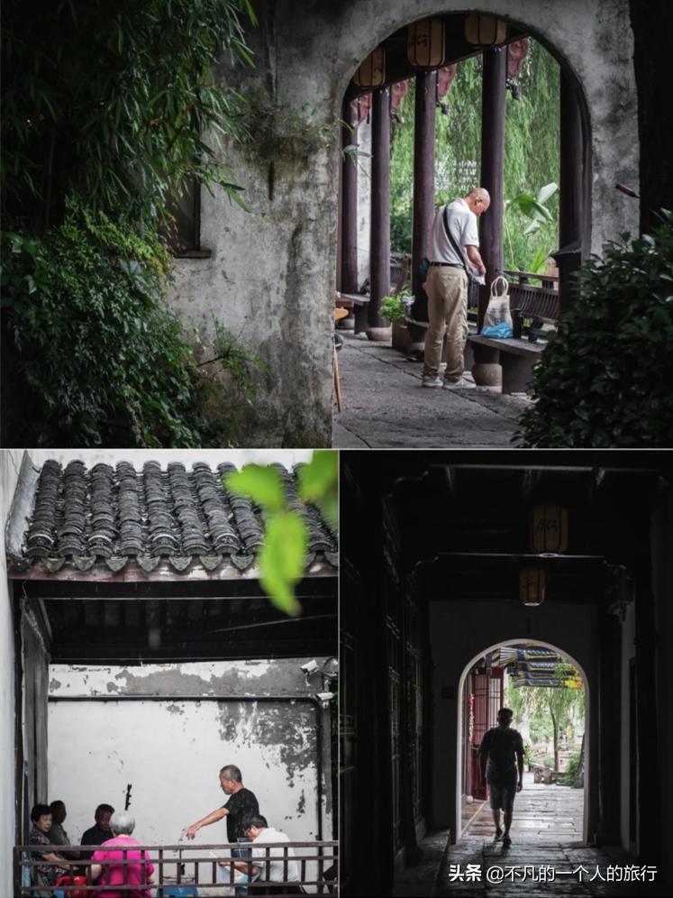 这座佛系安逸的江南老城被赞“全国最美森林火车站”