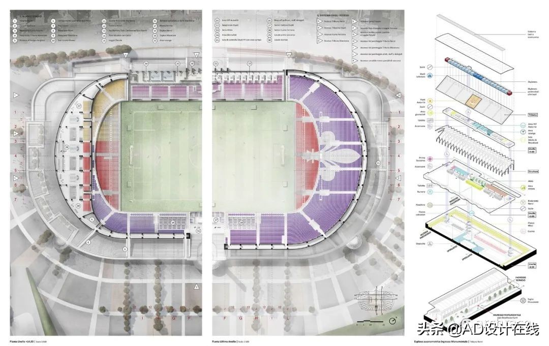 弗兰基球场改建,佛罗伦萨弗兰基球场