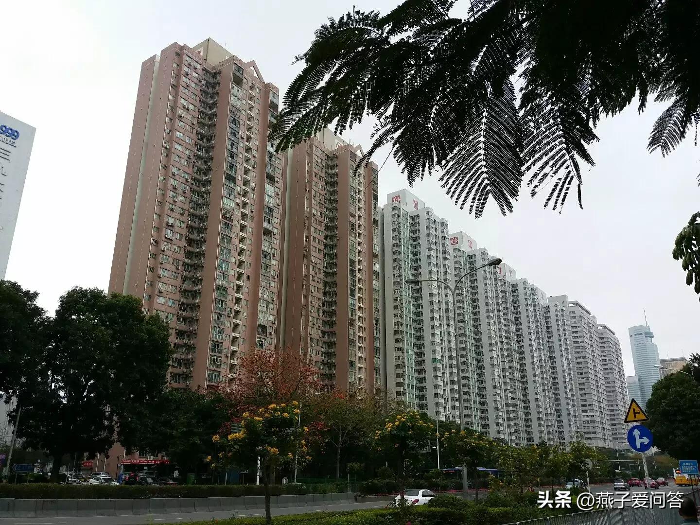 深圳2100万买了学区房,深圳花了几百万买的学区房