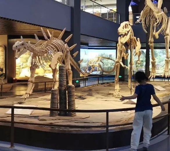 欧乐堡海洋极地公园攻略,欧乐堡最全游玩攻略请收好