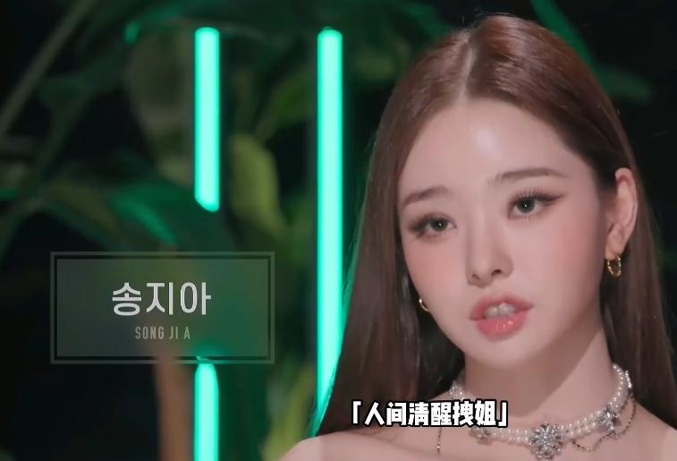 宋智雅真的是白富美吗,宋智雅哪些是假货