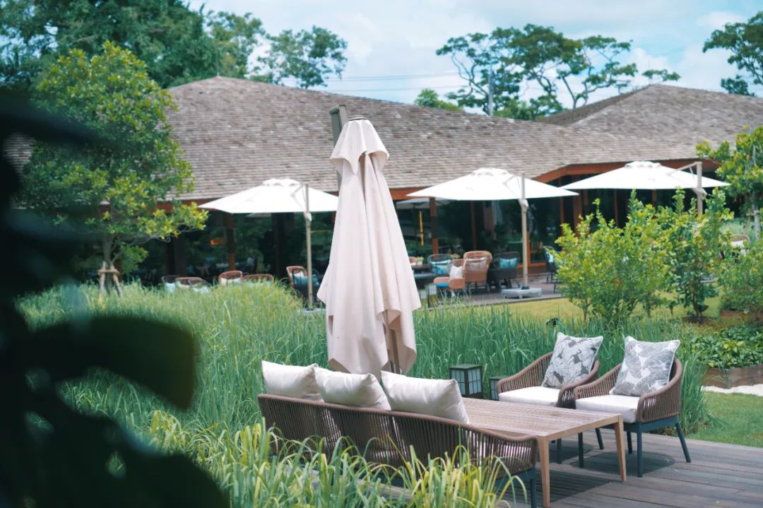 在泰国待了14天,在泰国待了60天