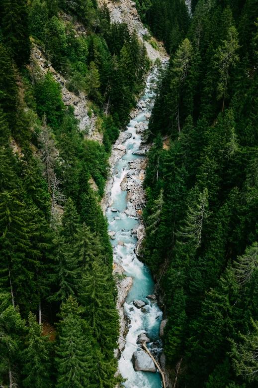 如何战胜害怕恐惧的心理,如何学会战胜恐惧