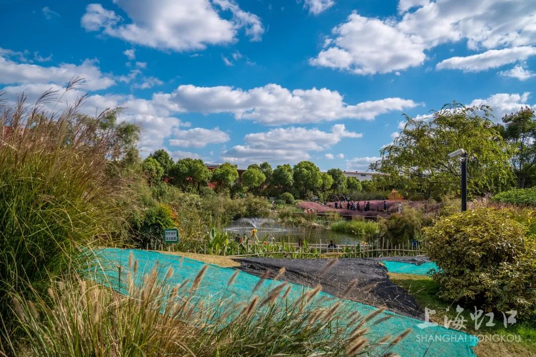 云淡风轻的晴朗天气,云淡风轻好天气