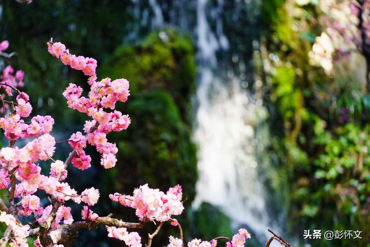 劳务费没有发票能税前扣除吗,劳务费没有发票能否税前扣除