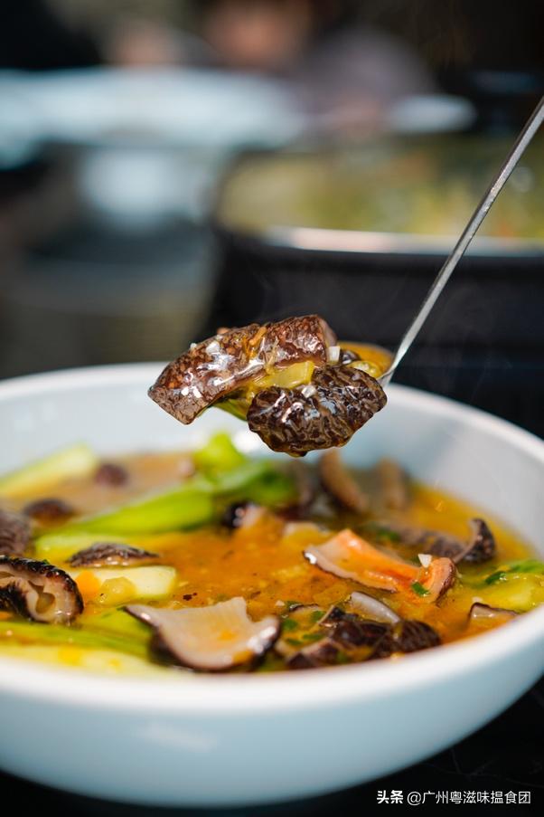 来绿林润肺放肆“森”呼吸，体验全新肇庆喜来登酒