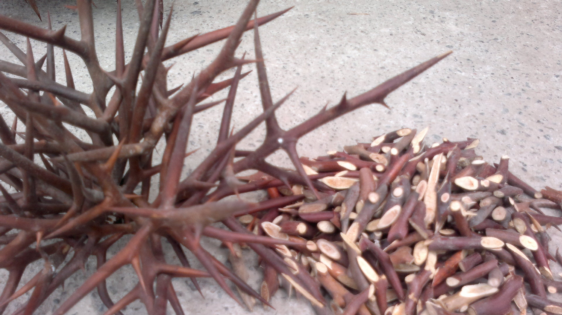 无需手术!输卵管炎症就是一团瘀!中医经典通管散,消炎又化瘀