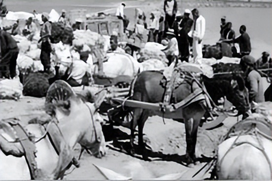 张歧山:我在“集生祥”皮毛牲畜店的经历见闻