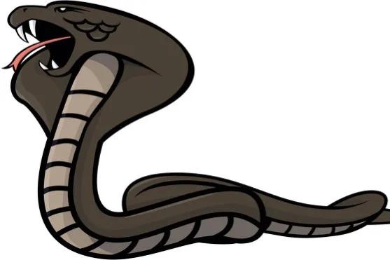 21岁男子上山采药被五步蛇咬伤,湖南21岁男子上山采药被蛇咬伤