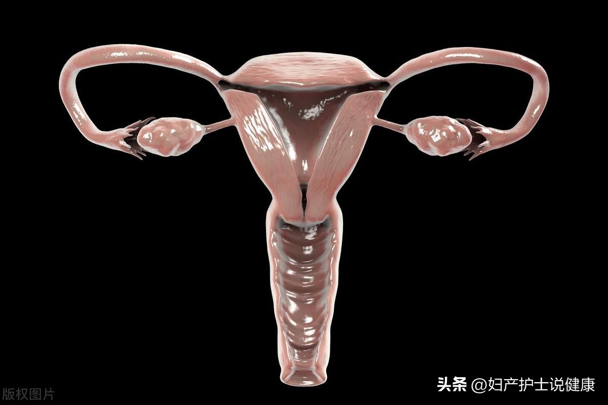 子宫女人天生就有吗,子宫女性