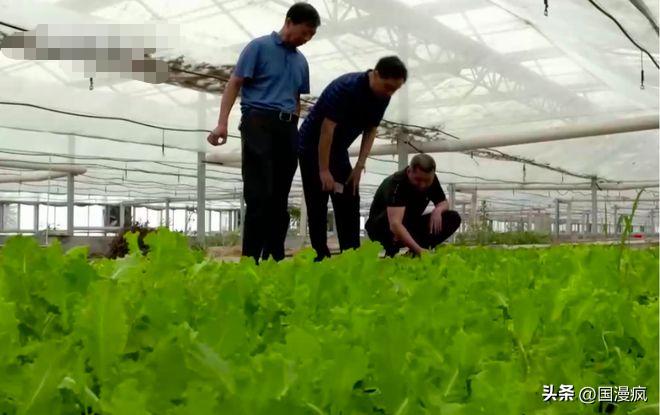 全国最大的蟑螂养殖基地在哪里,中国蟑螂养殖第一人