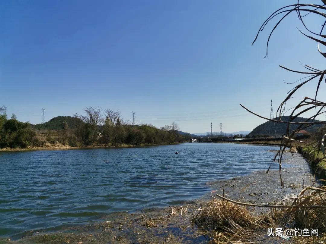 冬天野钓鱼不开口跟什么有影响,深秋野钓鱼不开口怎么办