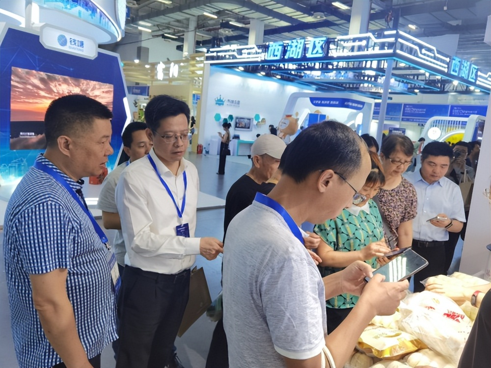 服务体系全覆盖“带货红娘”桐庐县助企业电商驶入转型“快车道”