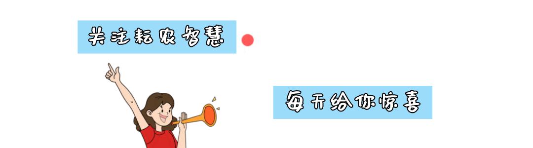 邯郸智能农业物联网系统,邯郸耘农智慧有限公司怎么样