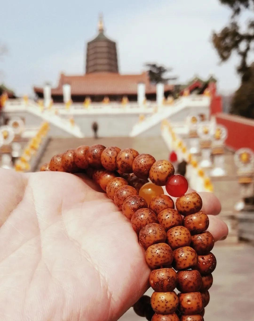 读经读诗,读诗读经读人生