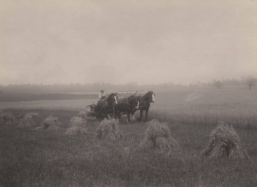 巴西为什么是体育强国,巴西的足球为什么那么强大