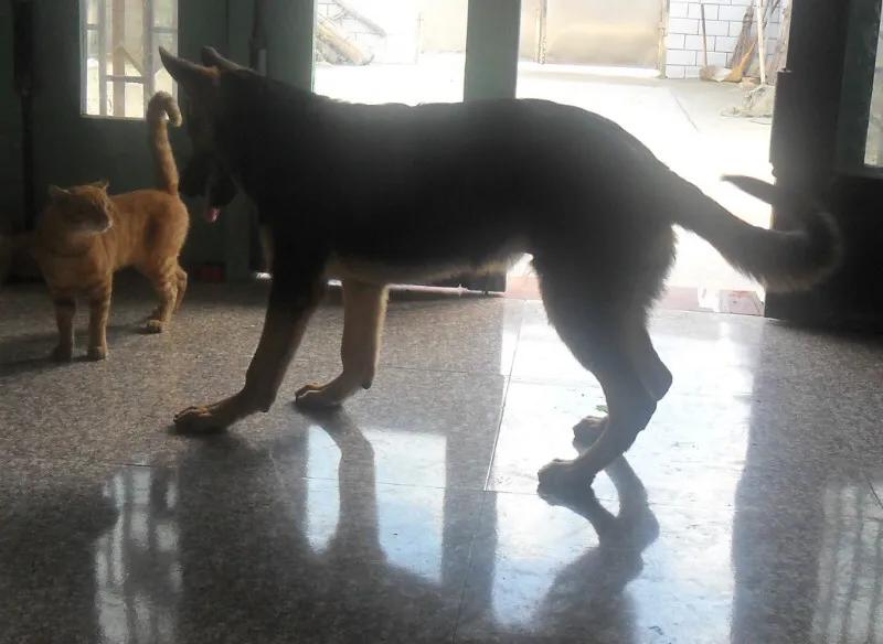 世上只有妈妈好爸爸也不错,世上只有妈妈好爸爸不好吗