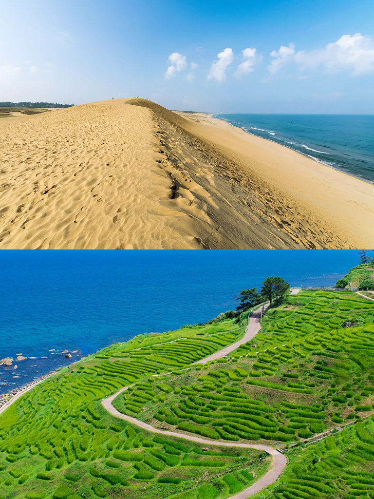 庞洛邮轮看海豚,庞洛邮轮全景图