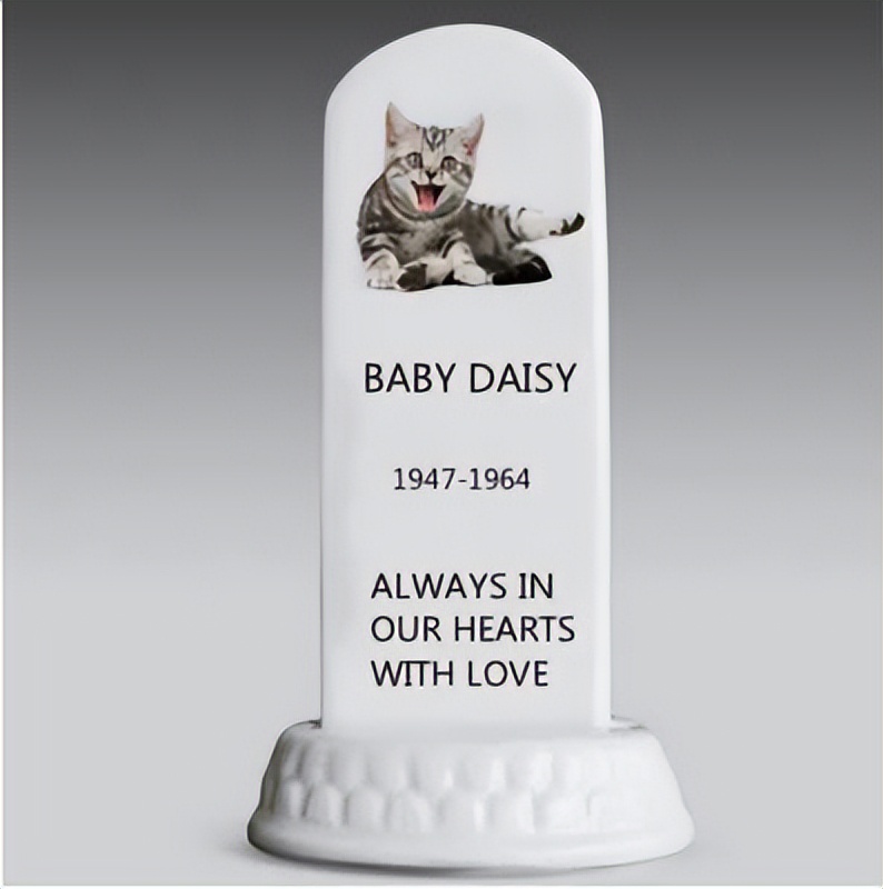 英国推行水葬,英国实行水葬