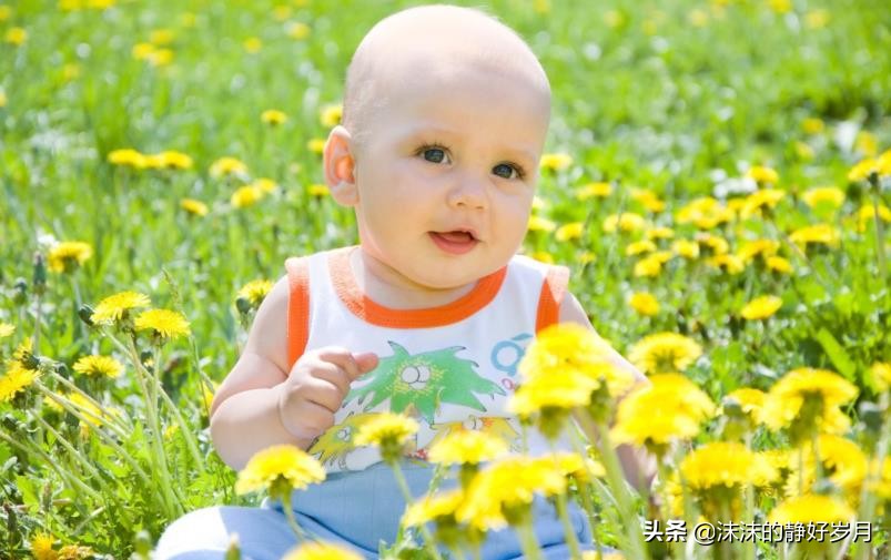 夏天天气热宝宝没胃口吃些什么呢,宝宝夏季胃口差试试这些方法