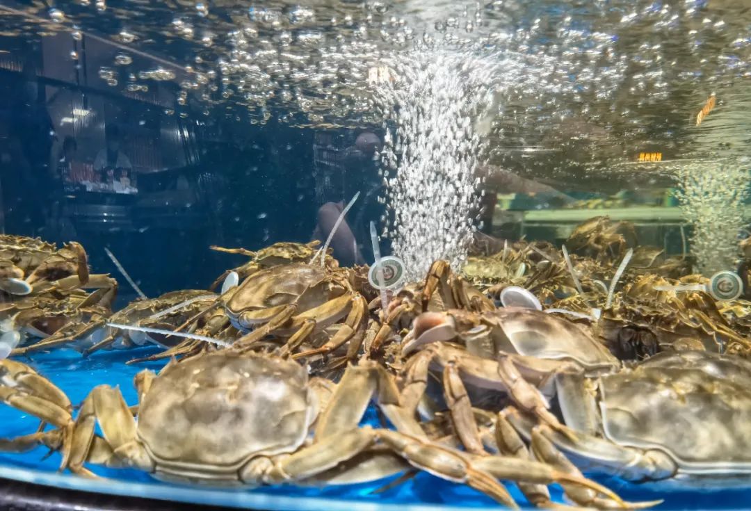 中秋节大闸蟹售卖卖场呈现,中秋节大闸蟹销售