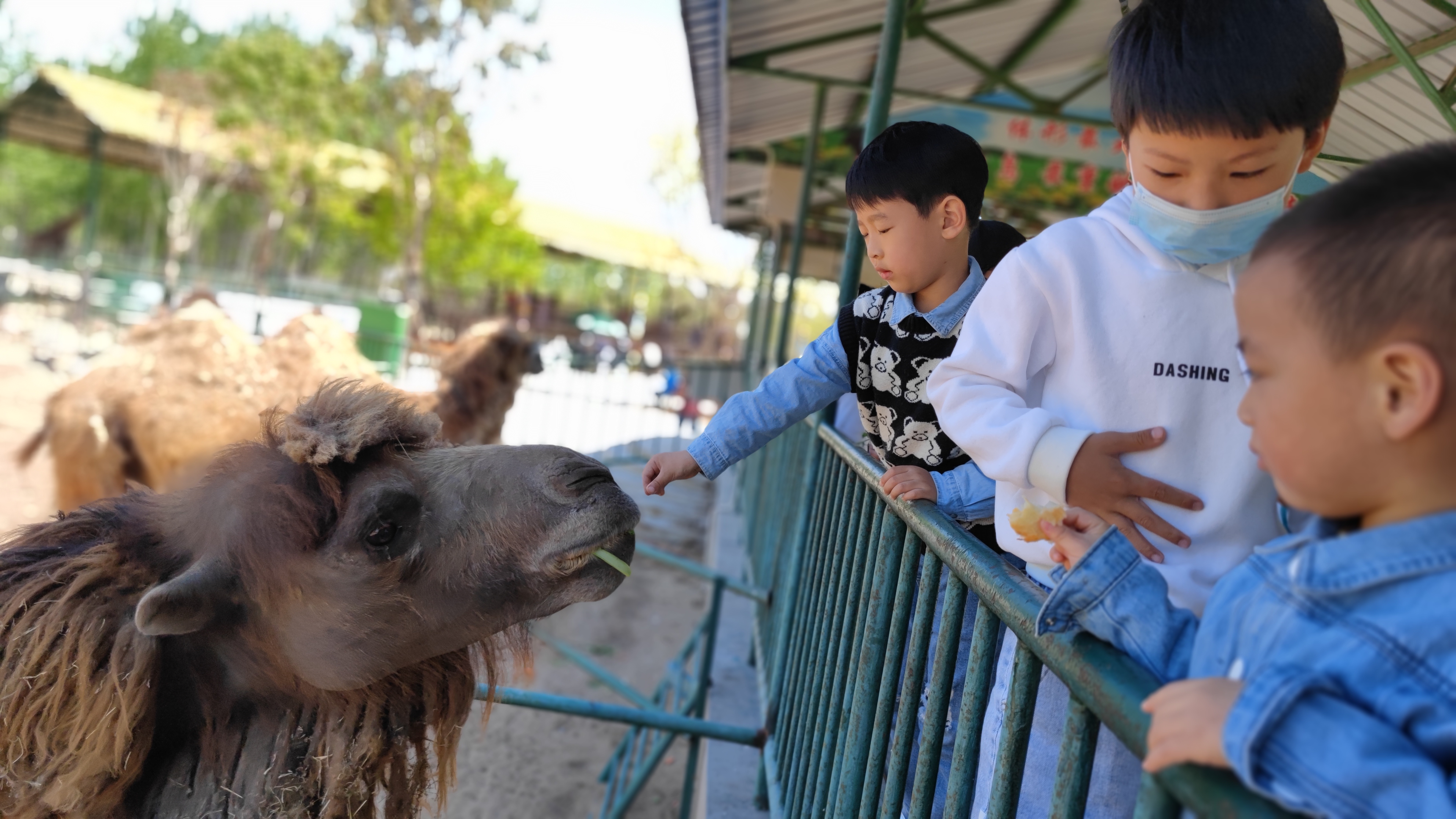 秦皇岛北戴河旅游景点大全,秦皇岛旅游攻略景点推荐