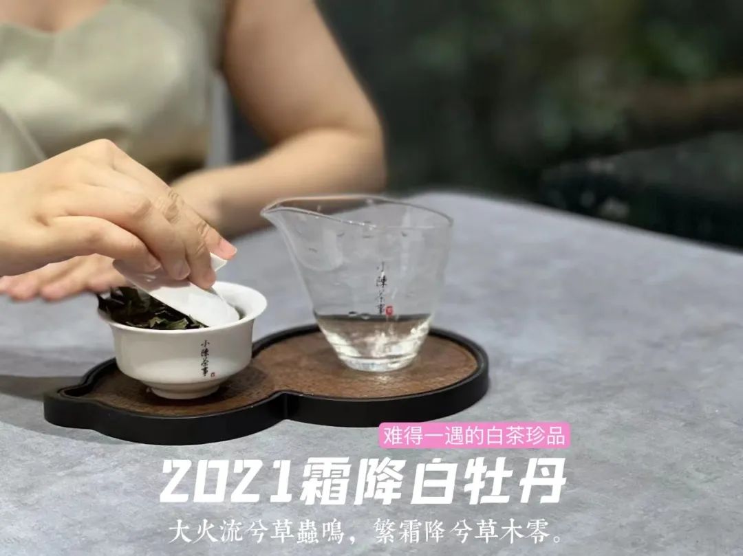 茶席布置需要什么茶具呢,茶席茶具布置