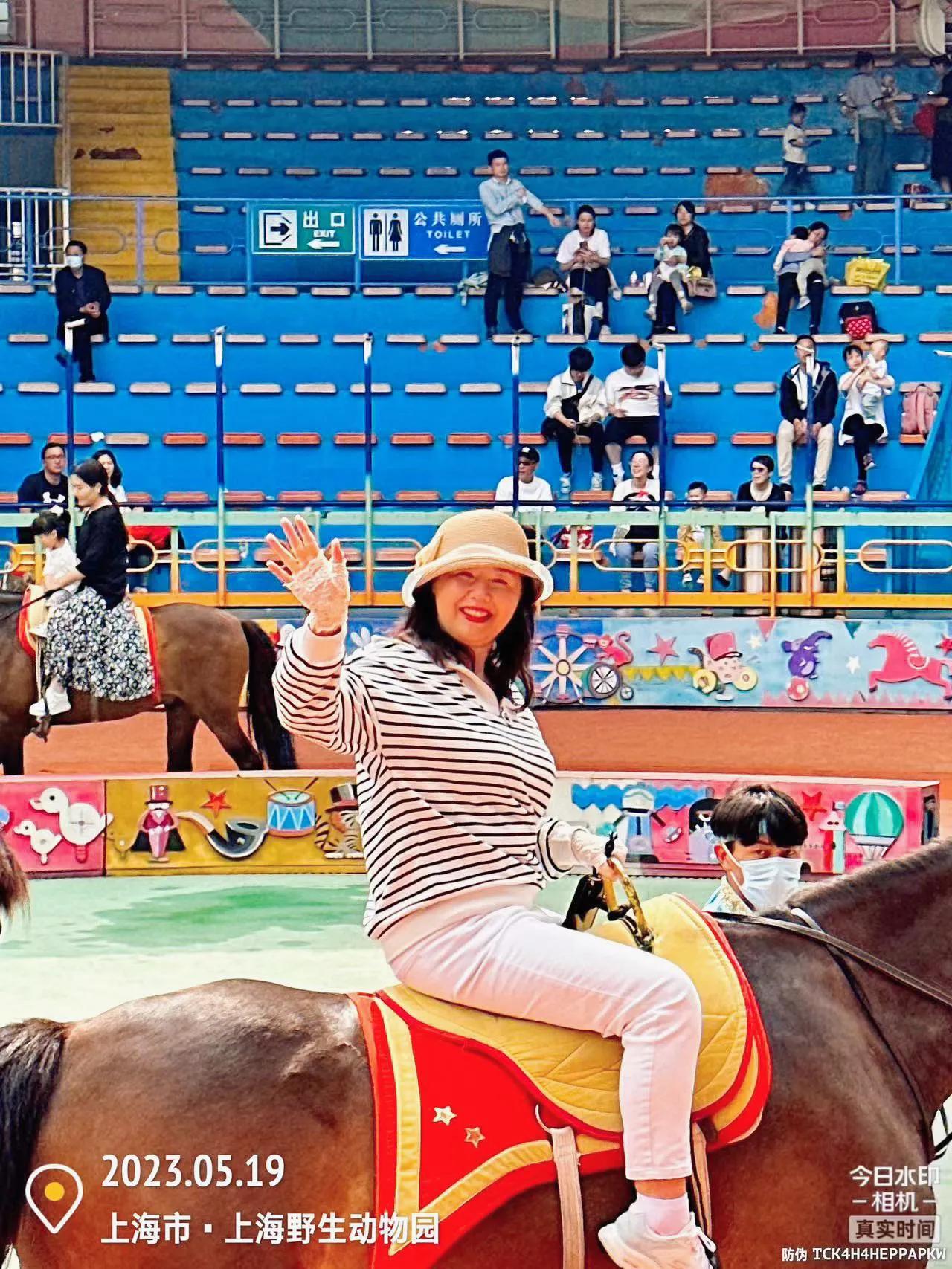 我喜爱的动物是小猫,什么动物招人喜爱