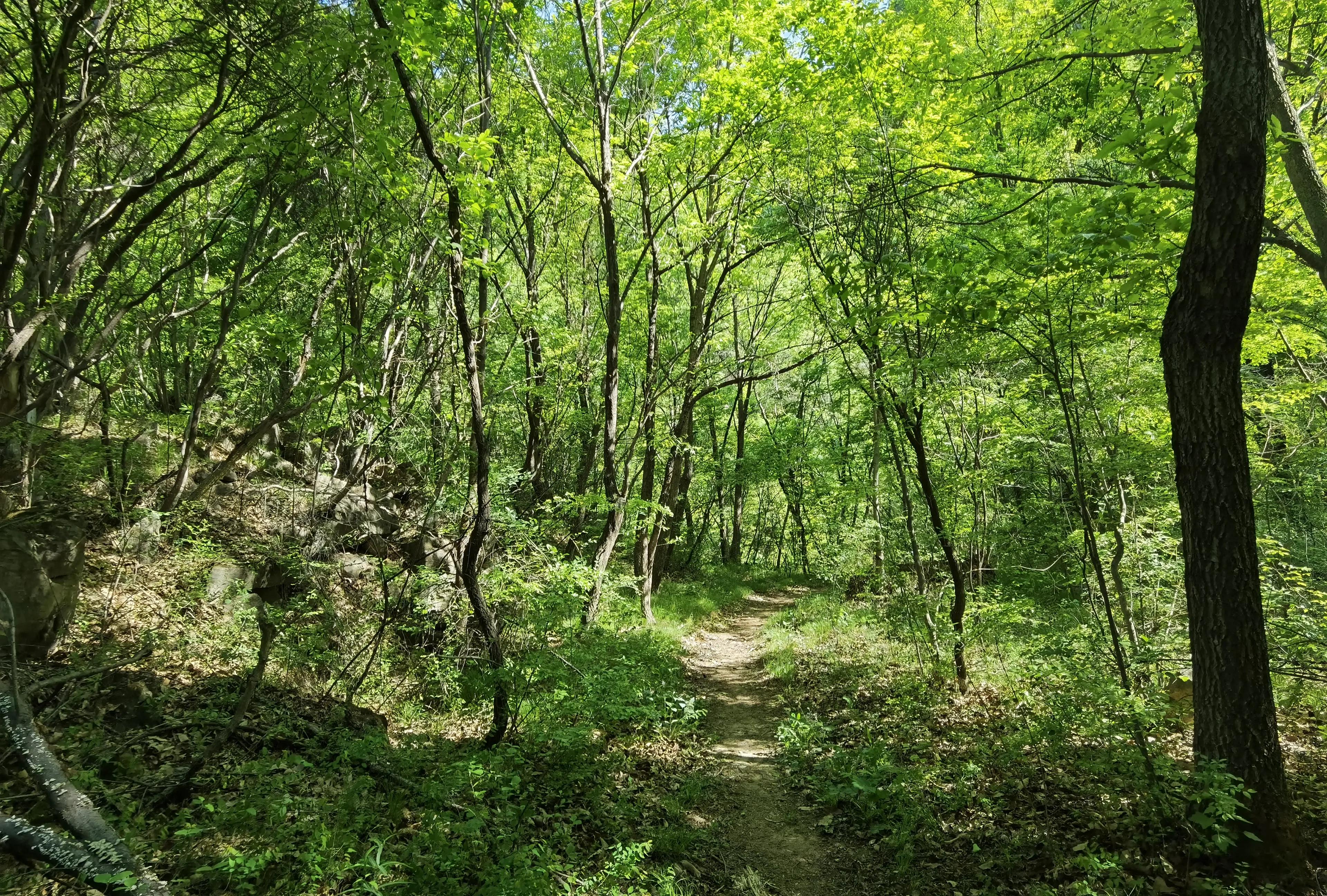 灵岩大佛山徒步,徒步灵岩山寺美篇