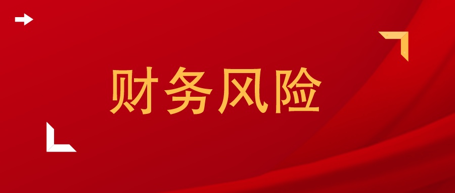 财务风险论文摘要,财务风险防范论文范文
