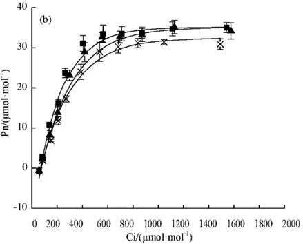 学习时听莫扎特会提升效率吗？|No.353