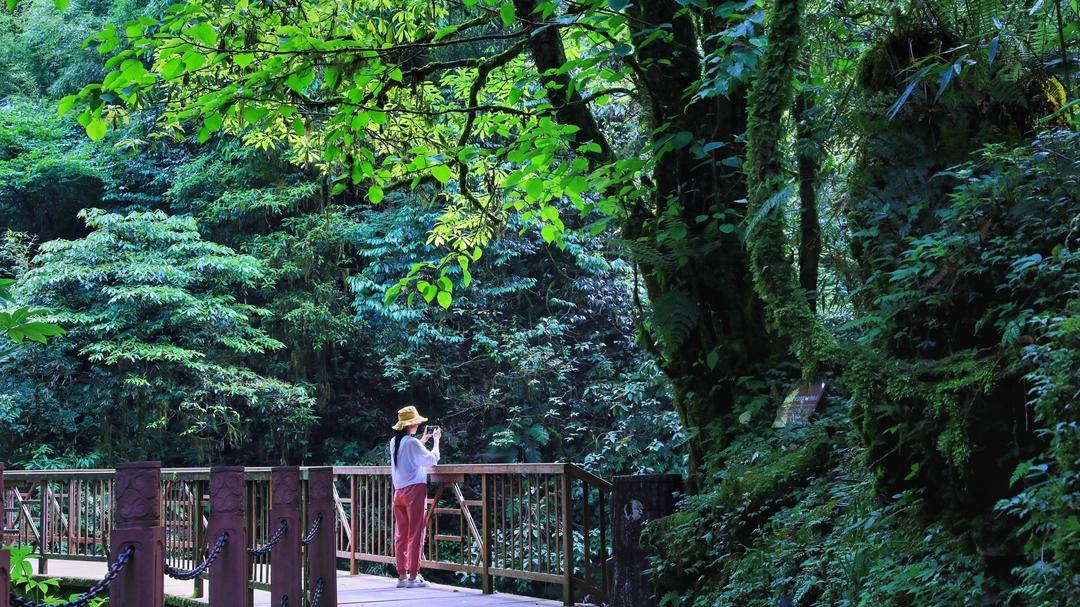 洪雅避暑胜地,洪雅最清凉的地方