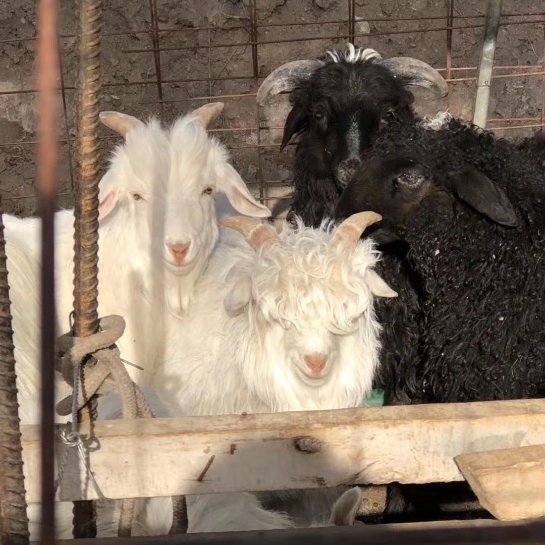 十几年的友谊的文案,闺蜜友谊文案高级感