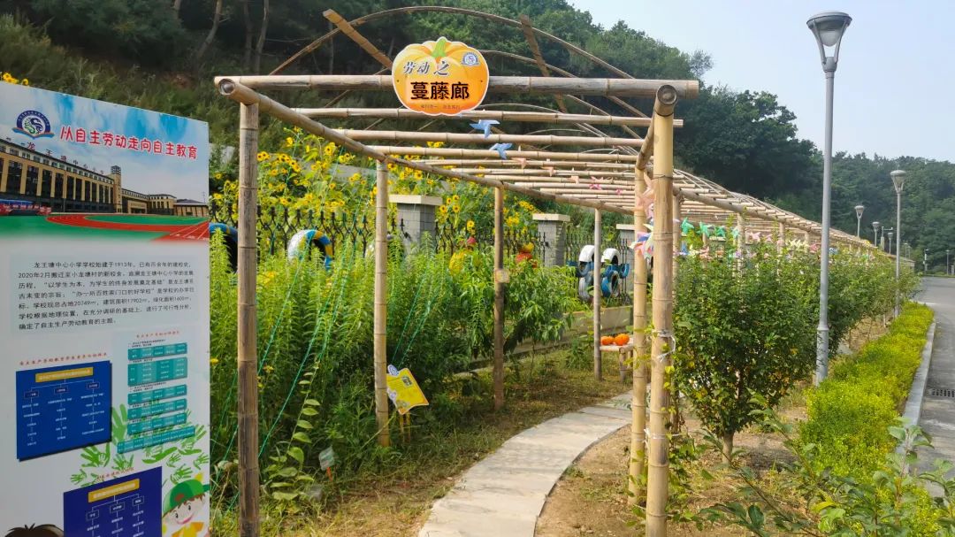 大连这个学校怎么样,大连的学校在山上