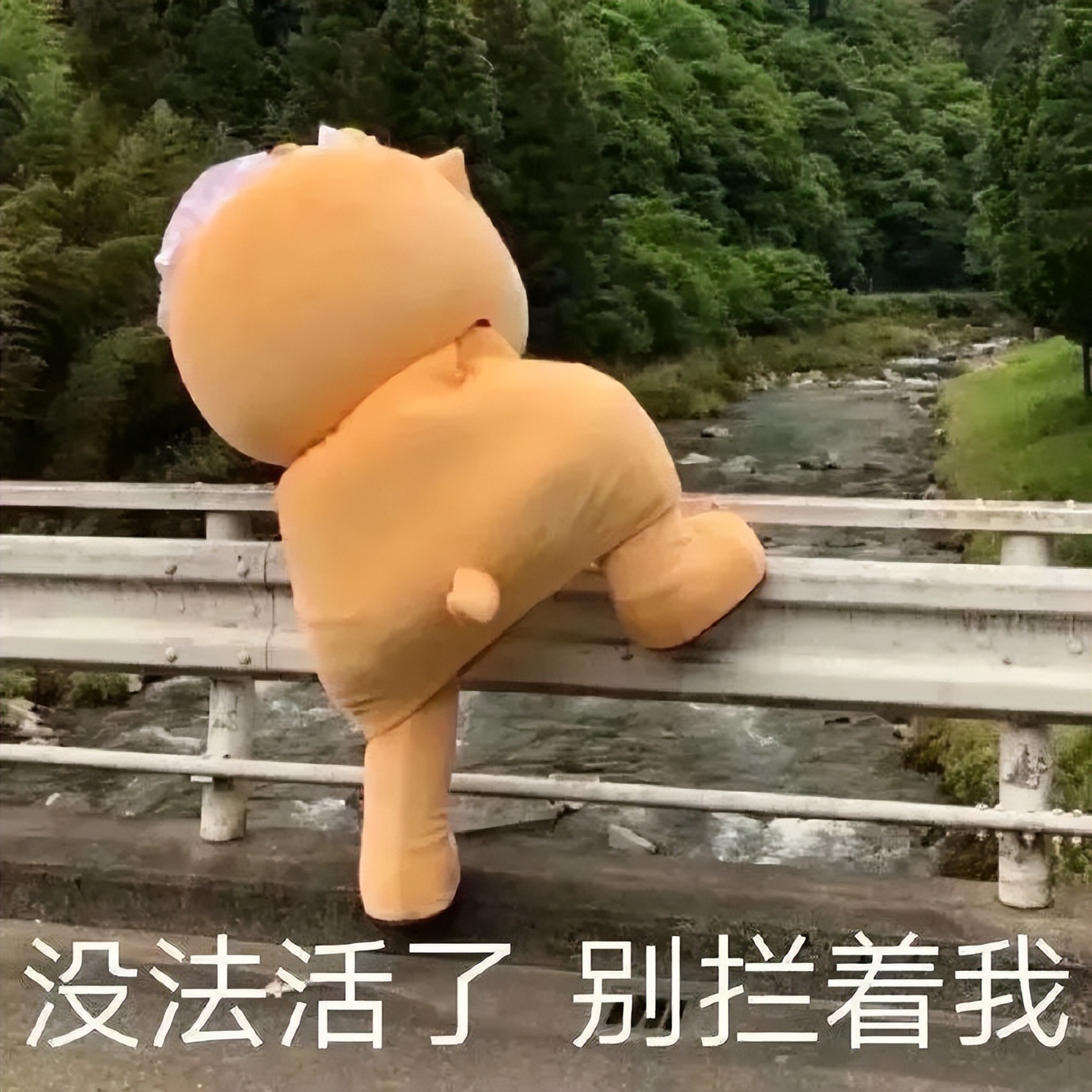 “3W4给女友买战损风上衣...”啊啊啊转身后当场裂开了!