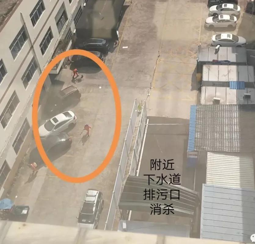 回国入境深圳最新隔离政策,国外入境深圳隔离最新规定