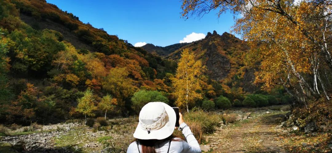 买不起房的北漂都去哪儿了,买不起房的北漂都去哪里了