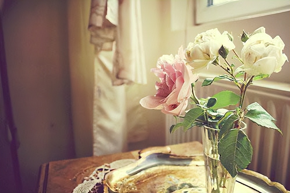 征服一个女人最好的方式是撩心,征服一个女人最好的方式是什么