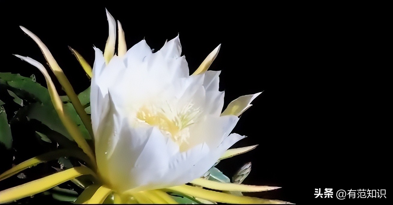 19岁女大学生深夜做“生意”,一年替父还债200万,成千万富婆