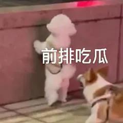 小米8都能刷成什么系统,小米8windows