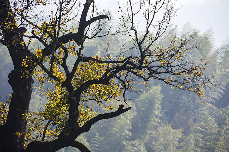 黄山市到皖南川藏线自驾游攻略,黄山市到徽州古城旅游攻略路线图