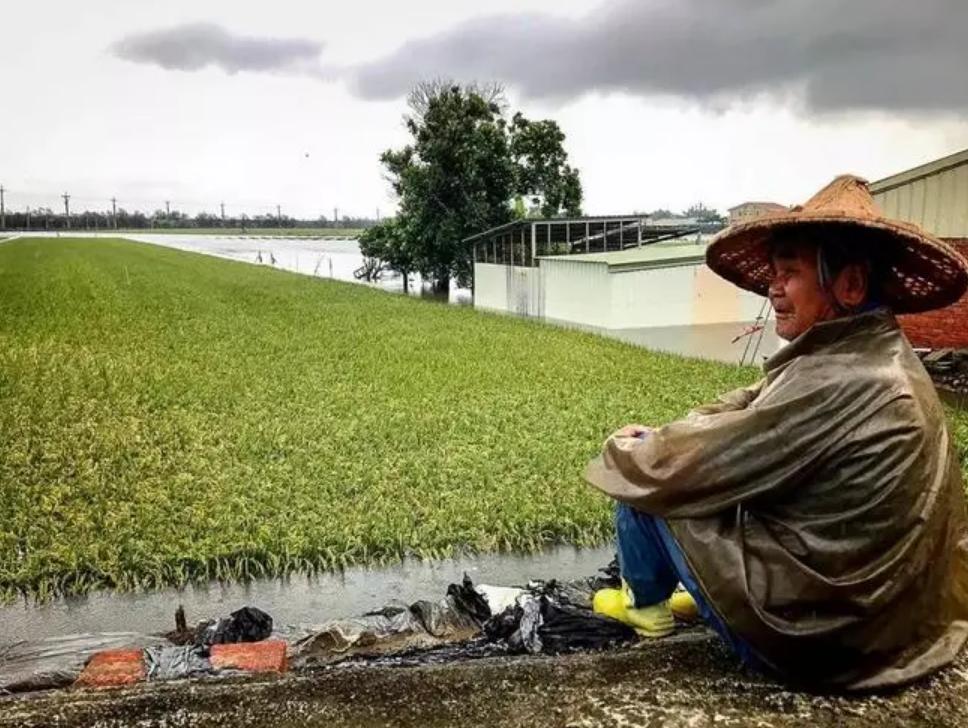 台湾人的真实生活,台湾人在大陆的真实生活视频