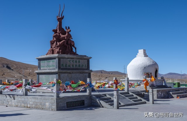 青海湟鱼那么多为什么要保护,救命的青海湖湟鱼