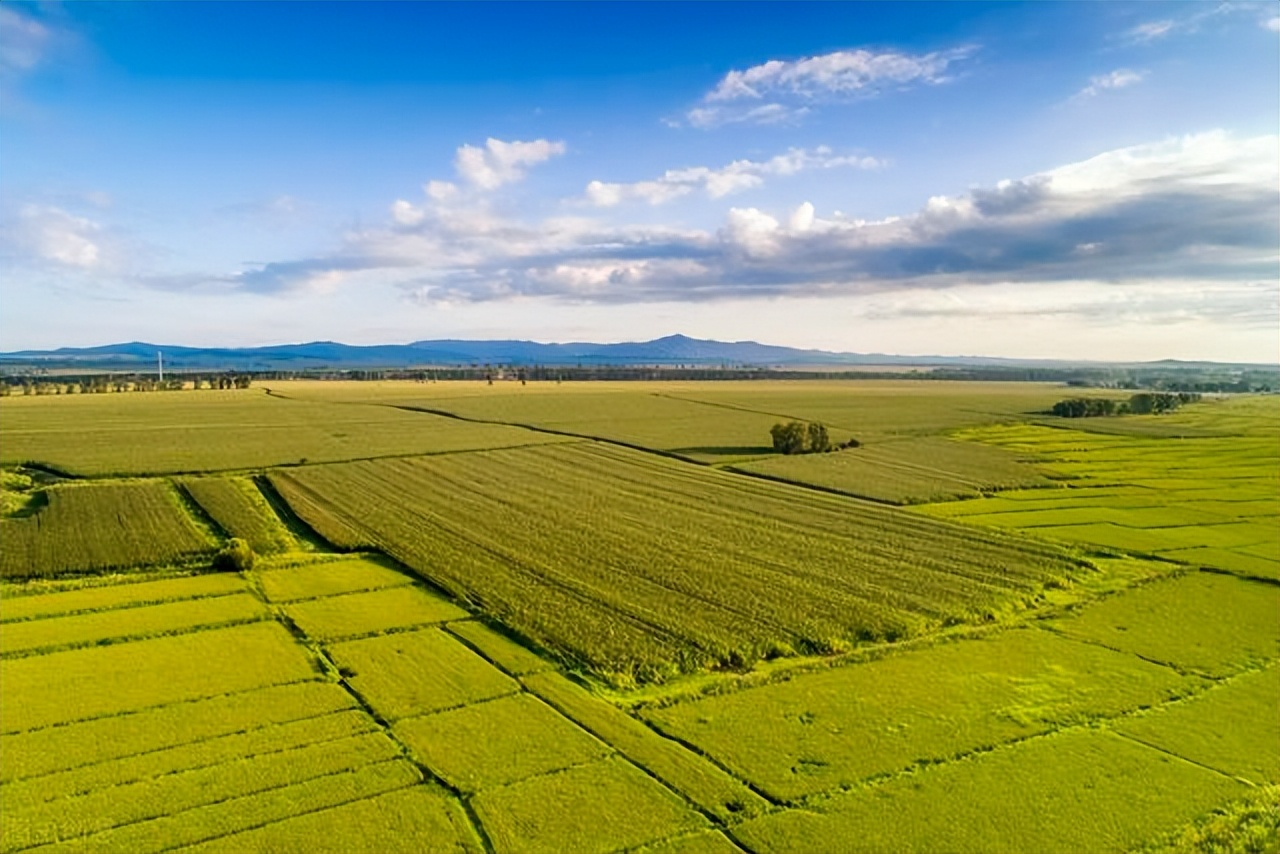 北大荒垦荒什么时候开始的,北大荒退耕还荒原因