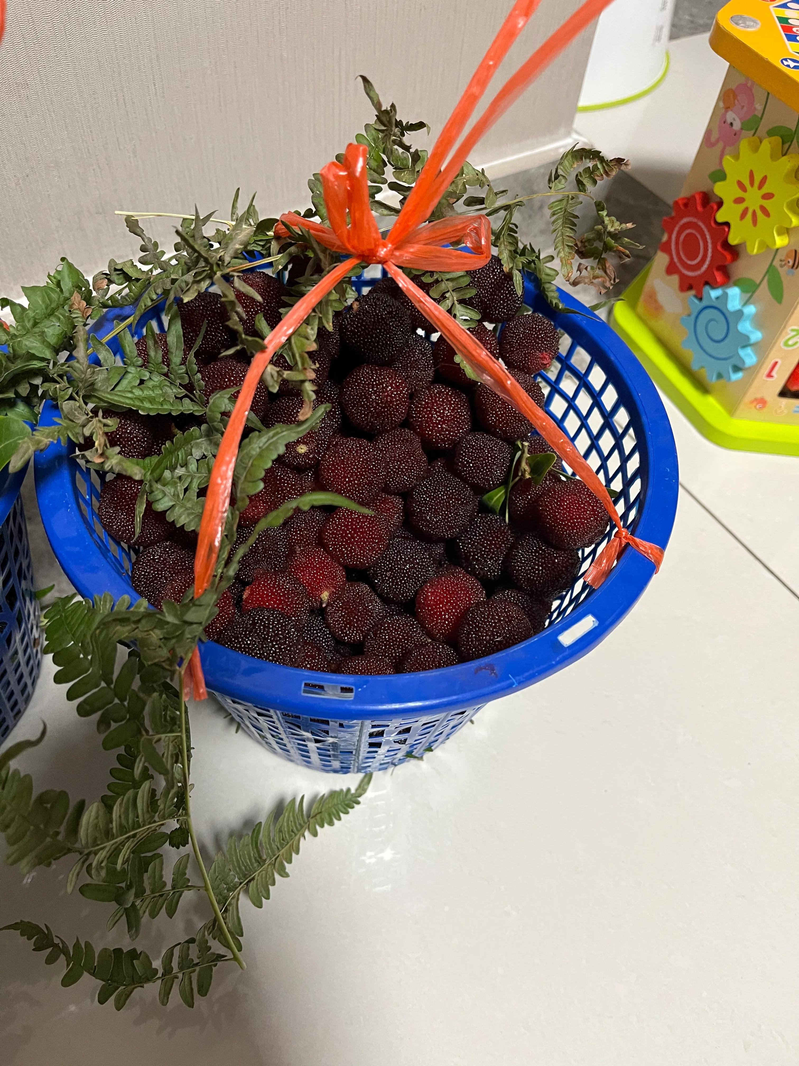 一个人在无锡的生活方式,身在无锡真的非常幸福