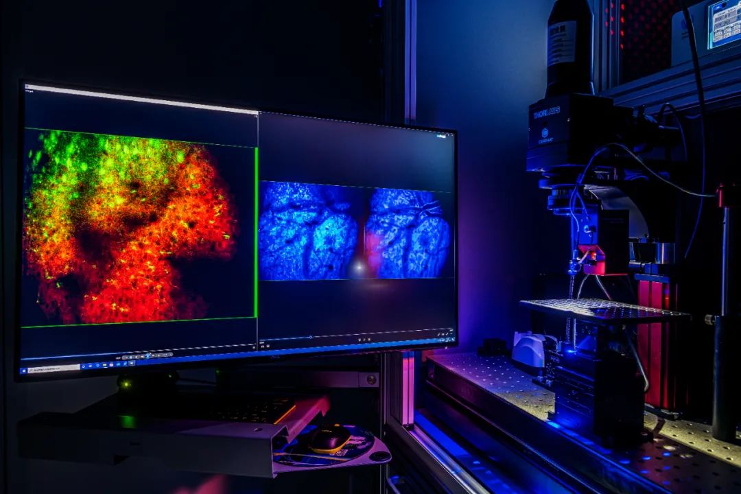 当时“全世界都不看好”,如今他们实现了多个首次!