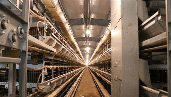 高邮鸭集团食品加工有限公司,江苏高邮鸭集团食品加工